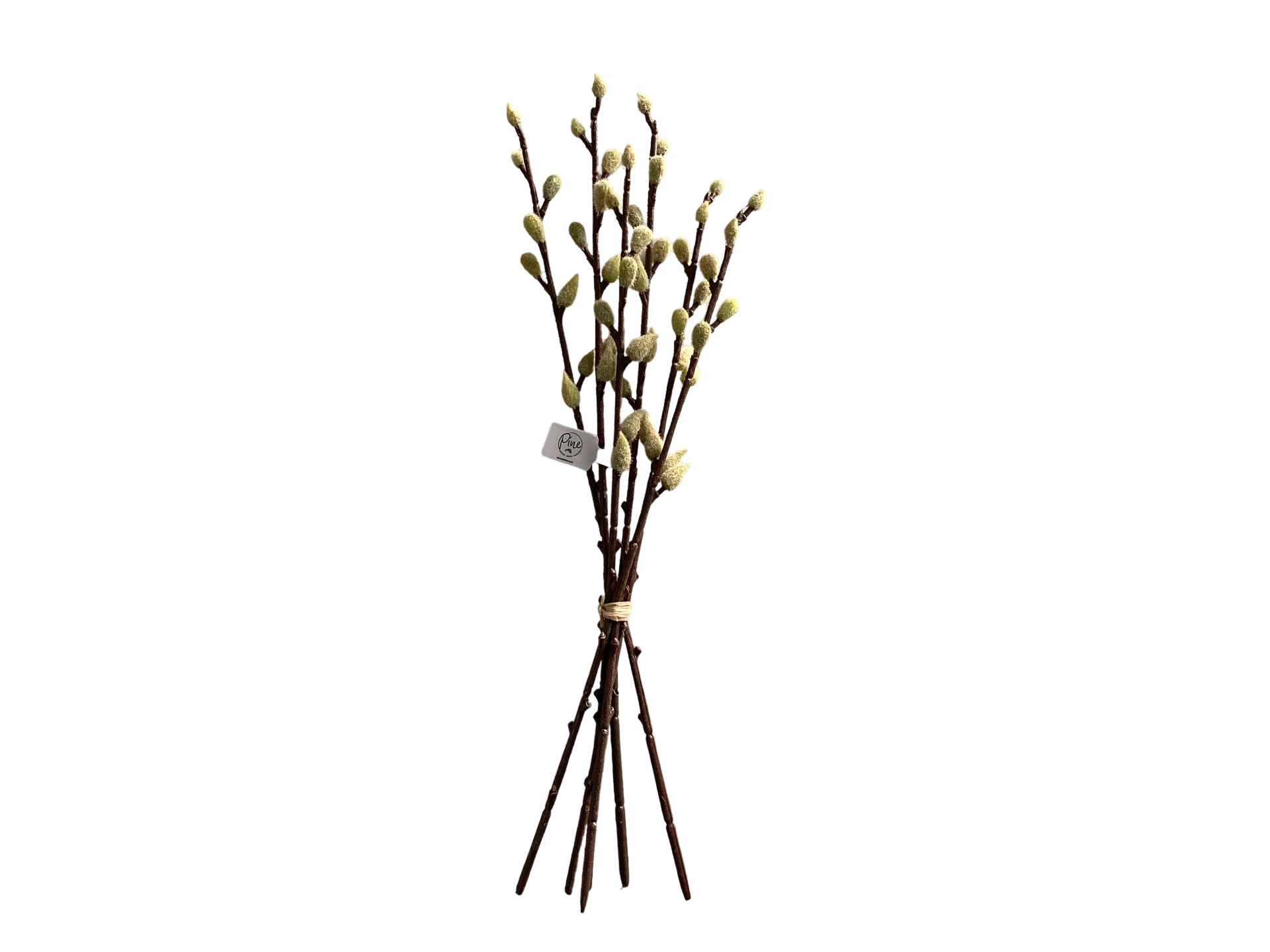 Bouquet de branche de saule